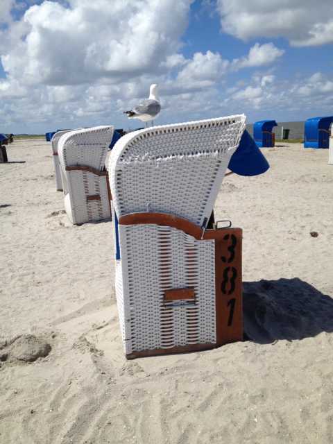 Sommerbild mit Strandkorb und Möwe
