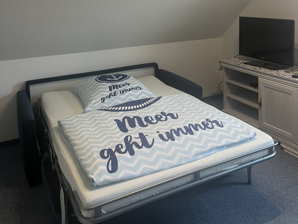 Bild des Schlafsofas im Wohnbereich als Bett